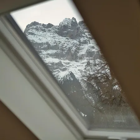 Eiger View Alpine جريندلوالد