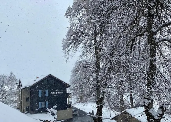 Orman Evi Eiger View Alpine *