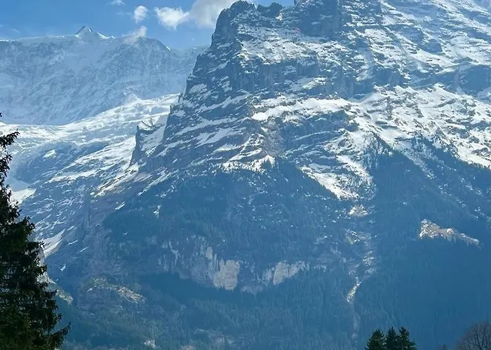Eiger View Alpine Grindelwald
